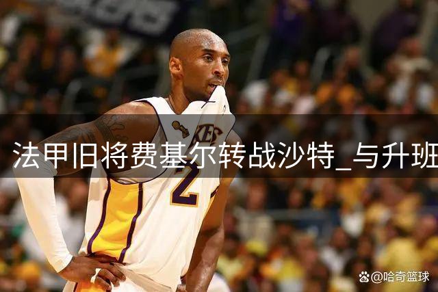 法甲旧将费基尔转战沙特 与升班马艾卜哈签两年合约