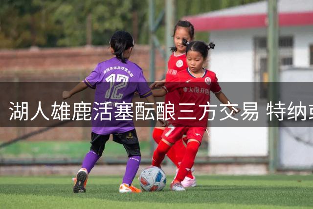 湖人雄鹿活塞酝酿三方交易 特纳或赴洛城组建双塔