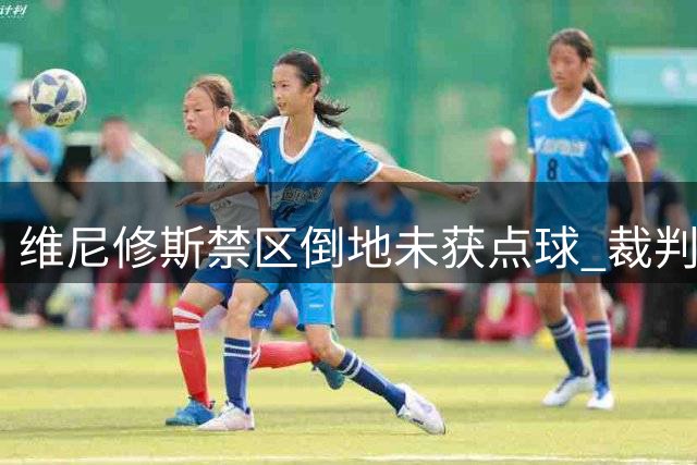 维尼修斯禁区倒地未获点球 裁判未出示第二张黄牌